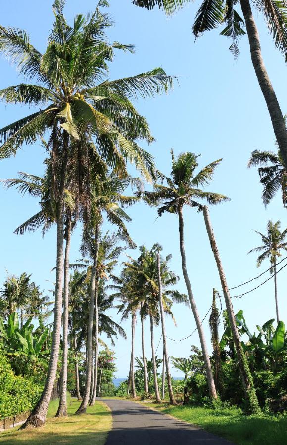 Tamu Seseh Villa Canggu  Luaran gambar