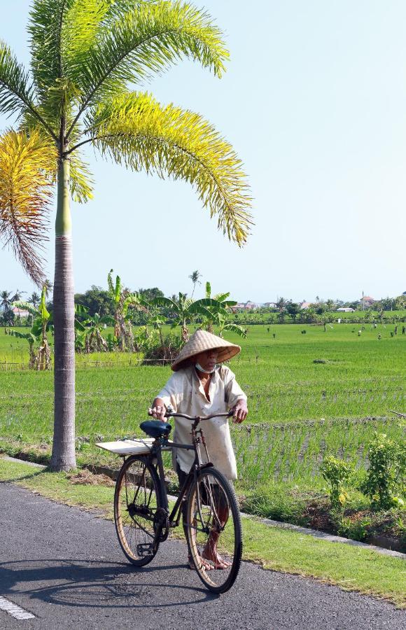 Tamu Seseh Villa Canggu  Luaran gambar