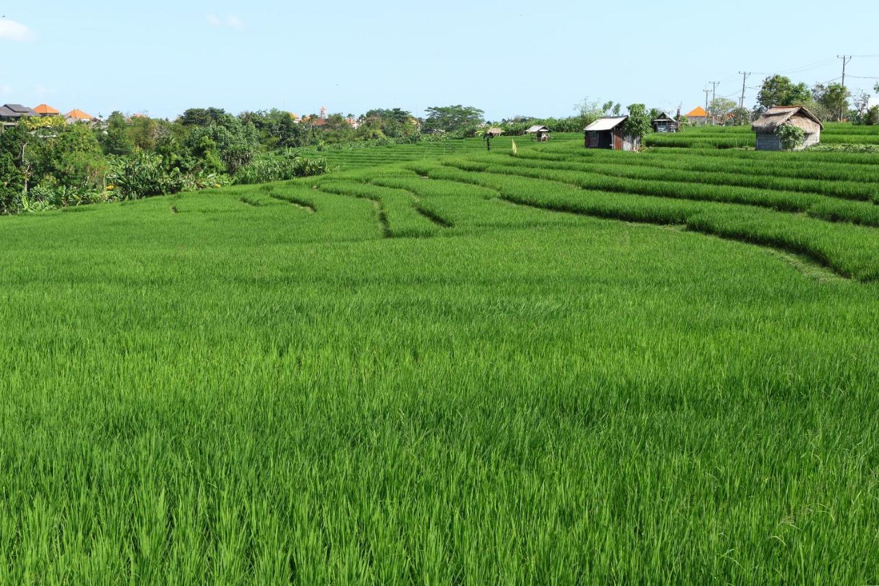 Tamu Seseh Villa Canggu  Luaran gambar