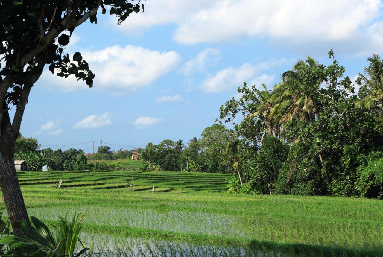 Tamu Seseh Villa Canggu  Luaran gambar